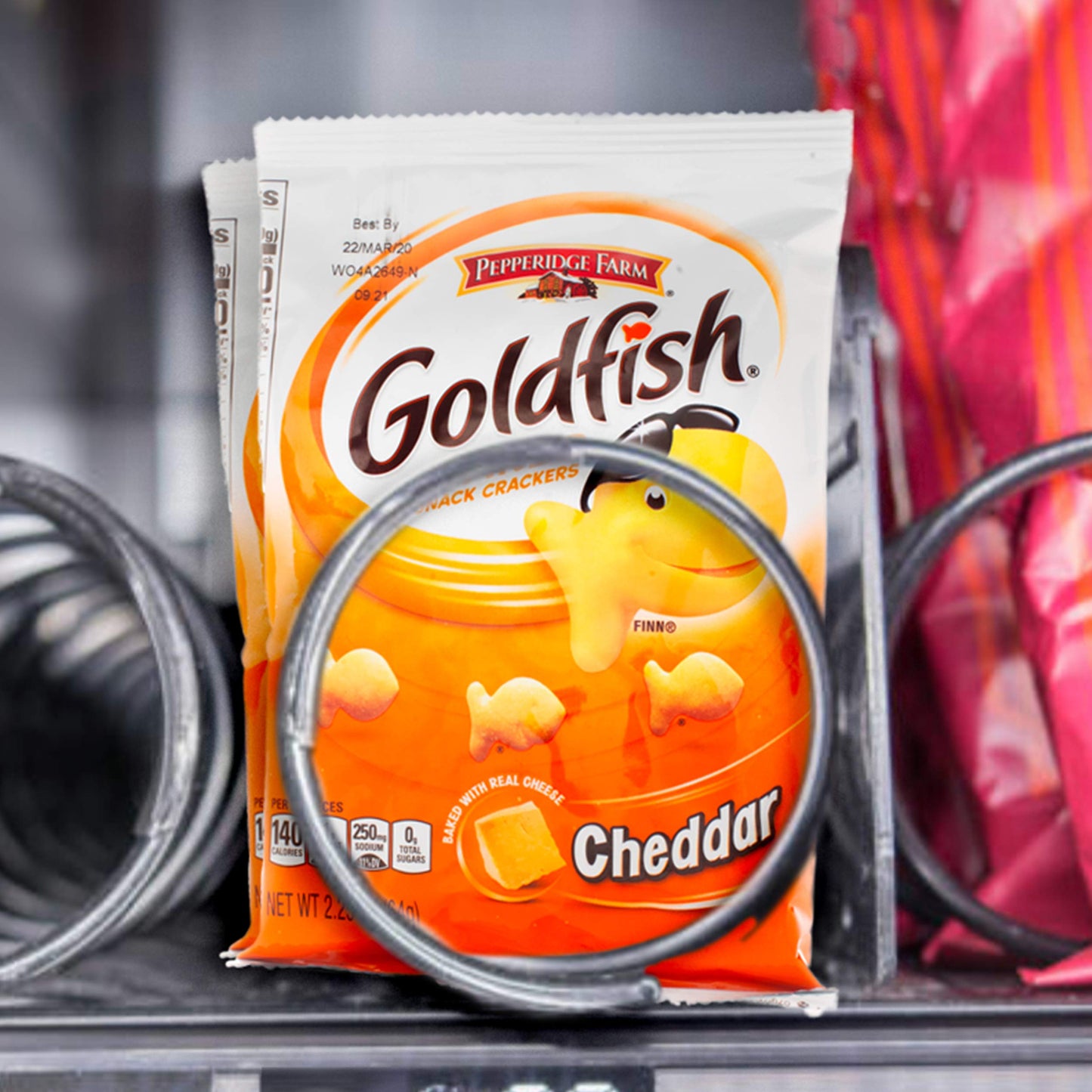 Goldfish Dynamic Duo Variety Pack, Colors Cheddar & Flavor Blasted Xtra Cheddar, Snack Packs, 20 Ct